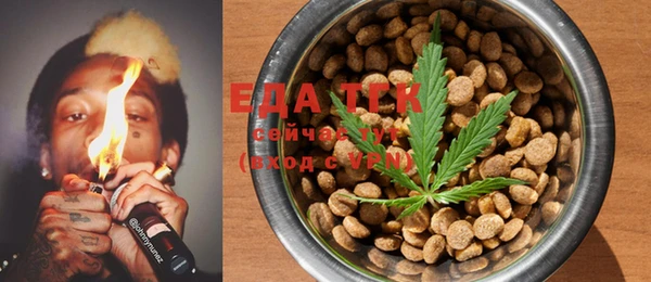 индика Янаул